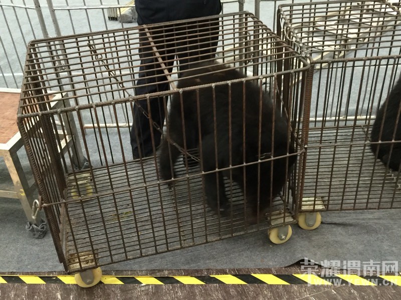 ���춯�Ｏ�������У��ú����Ǳ��۸�