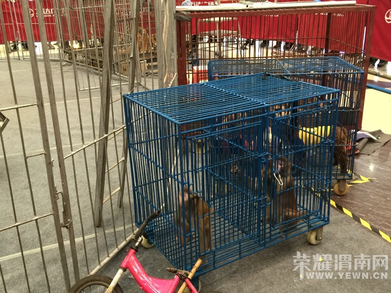 ���춯�Ｏ�������У��ú����Ǳ��۸�