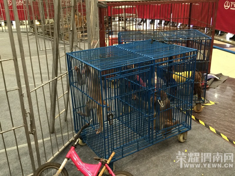 ���춯�Ｏ�������У��ú����Ǳ��۸�