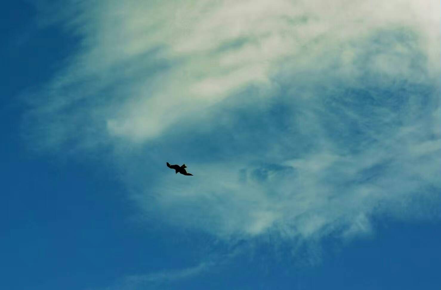 �ҵ���һֱ�������ˣ�ȴ�ܸ������������