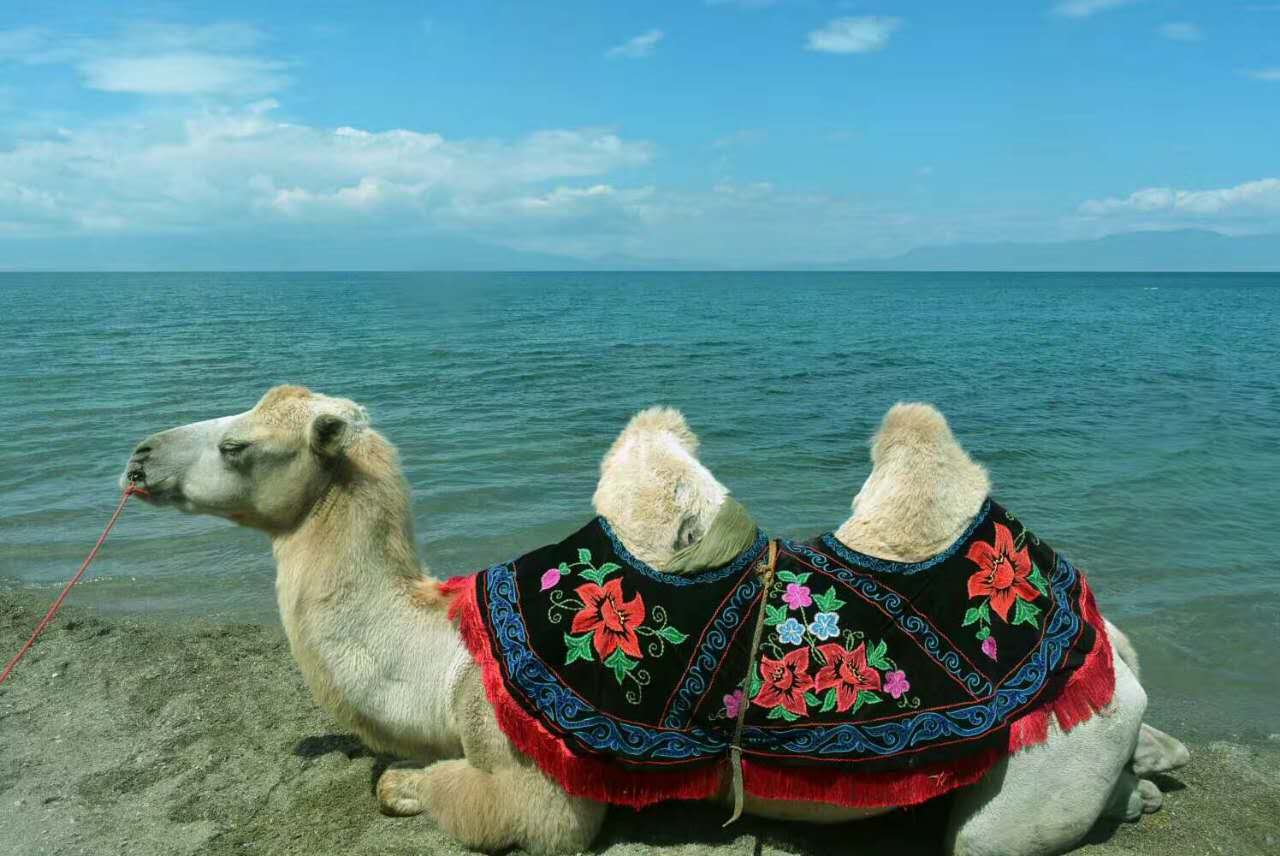 �ҵ���һֱ�������ˣ�ȴ�ܸ������������