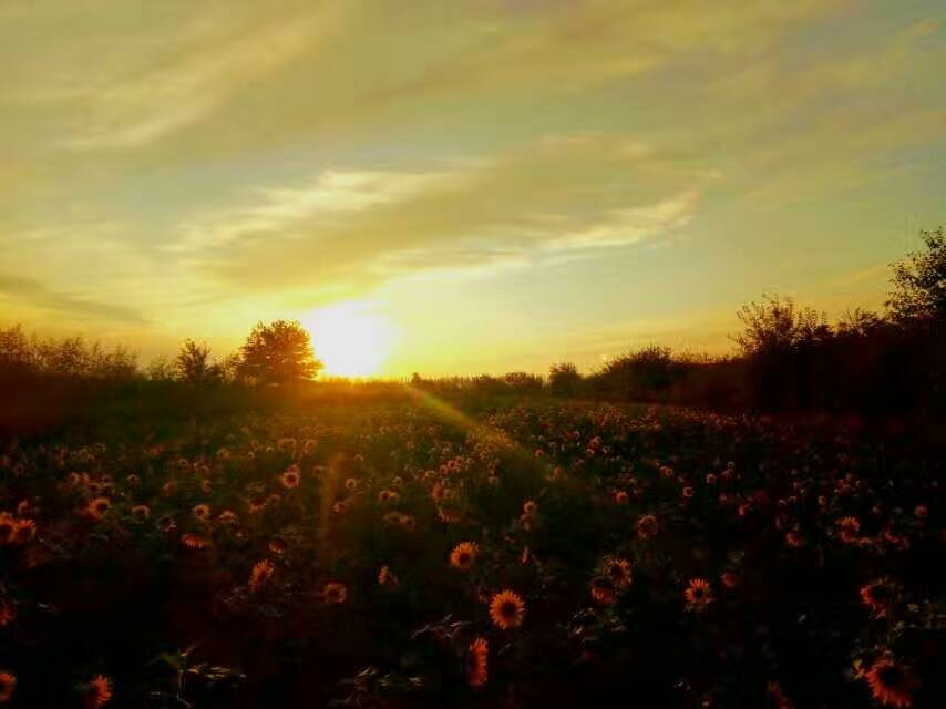 �ҵ���һֱ�������ˣ�ȴ�ܸ������������