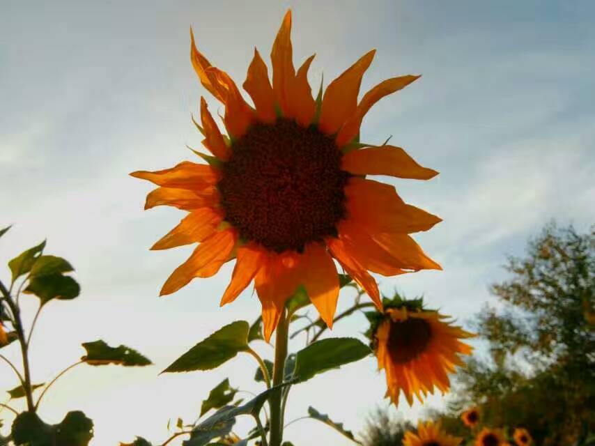 �ҵ���һֱ�������ˣ�ȴ�ܸ������������