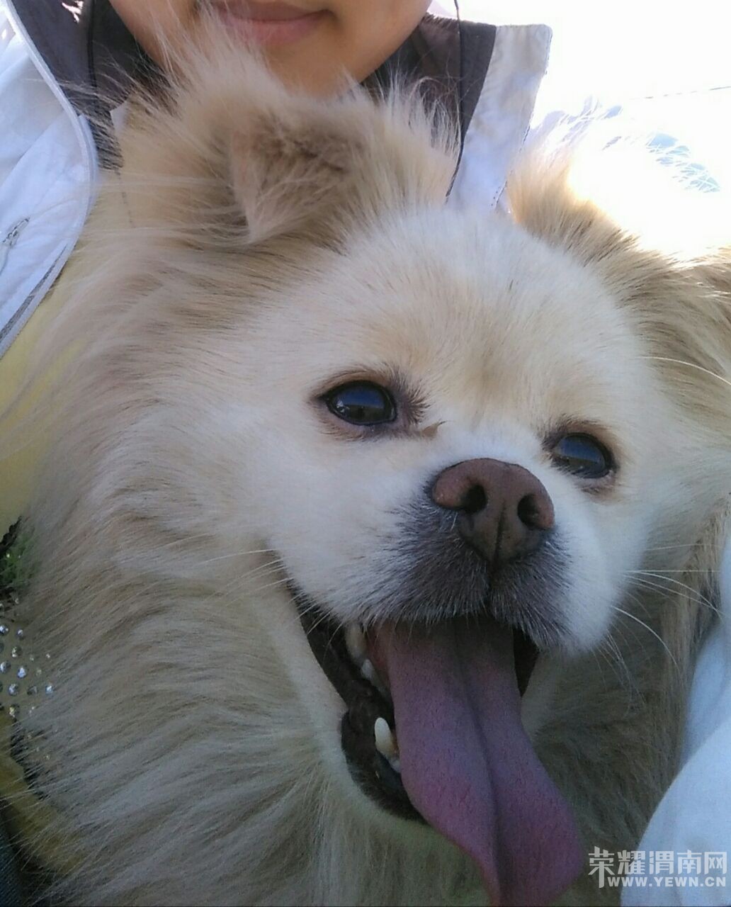 �Ҽҹ���μ��ǰ��·��ͷ�����ָ�����ʧ