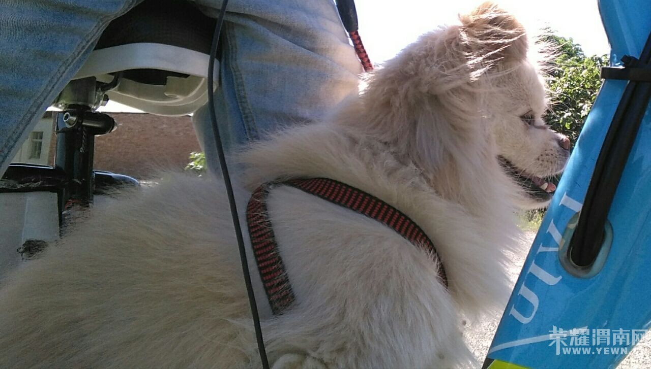 �Ҽҹ���μ��ǰ��·��ͷ�����ָ�����ʧ