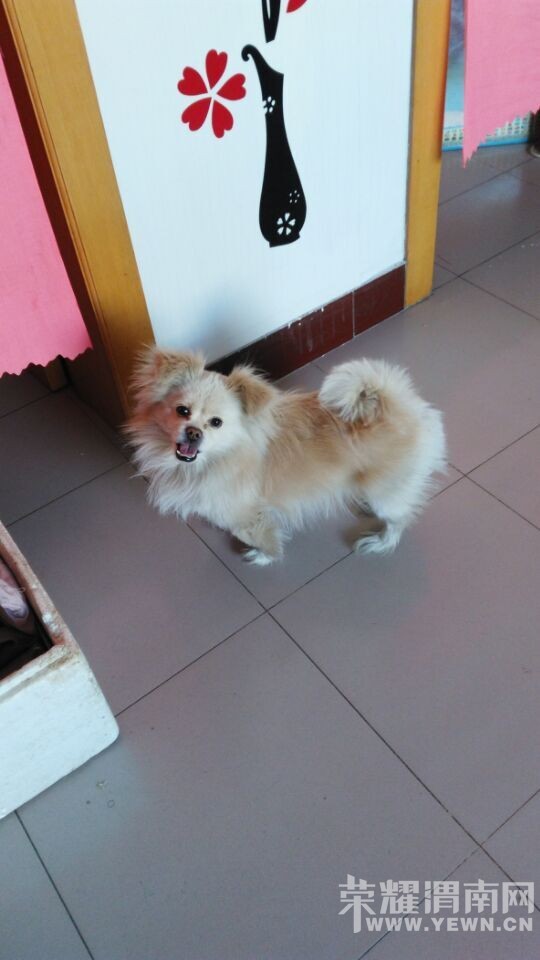 �Ҽҹ���μ��ǰ��·��ͷ�����ָ�����ʧ