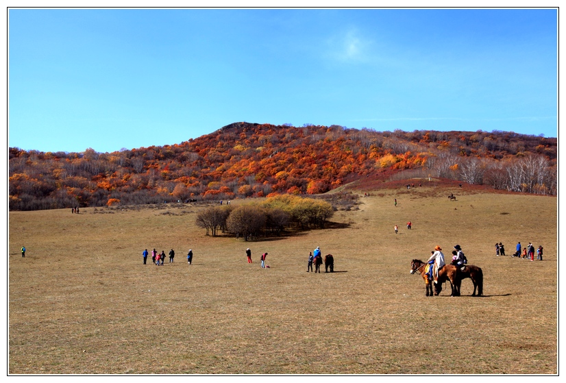 ���ϲ�ԭ������