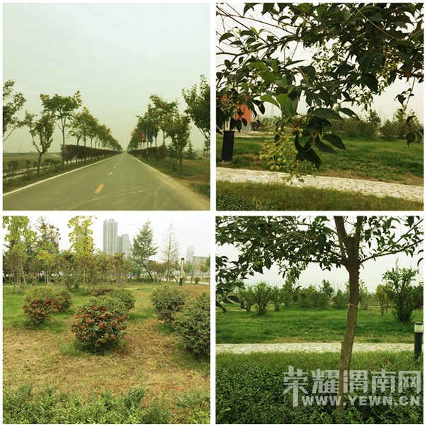 �����ˣ����Ѿ����ϲ���Сʱ�������ĵط���̫���ˣ�