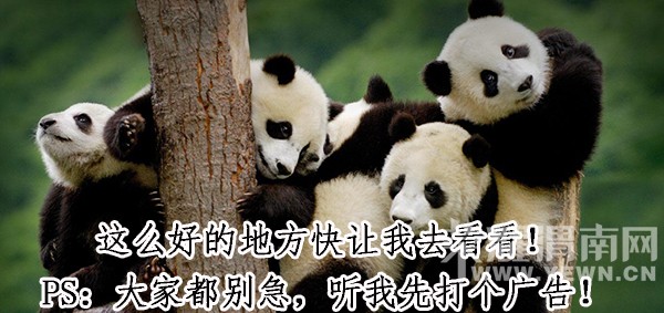 �����ˣ����Ѿ����ϲ���Сʱ�������ĵط���̫���ˣ�