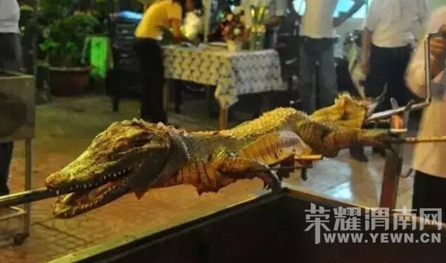 �ҿ���ν��������ʳ�ڡ�����Ļ��ƭ�����������ƭ��μ���ˣ��絳��ǧ����ϵ���