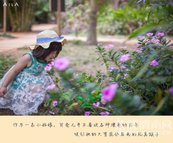 ���Ƕ��ͱ��Ƕ����Ѻ������ѵ�����֮��