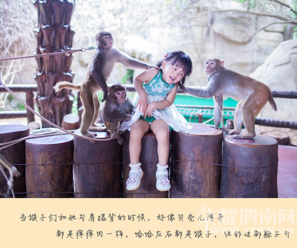 ���Ƕ��ͱ��Ƕ����Ѻ������ѵ�����֮��