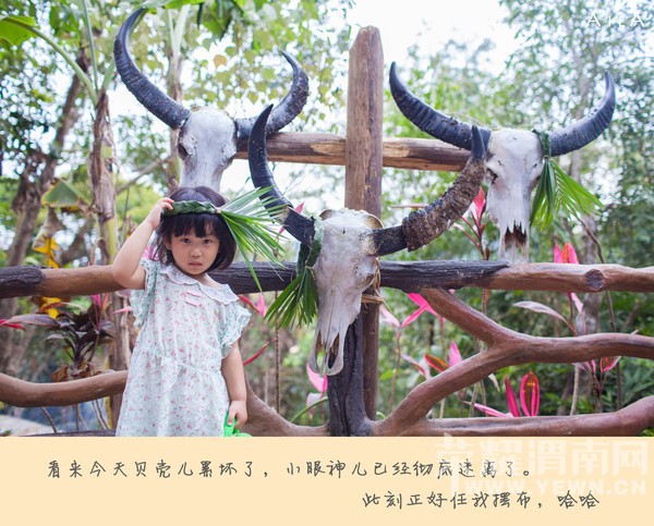 ���Ƕ��ͱ��Ƕ����Ѻ������ѵ�����֮��