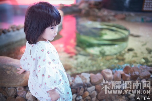 ���Ƕ��ͱ��Ƕ����Ѻ������ѵ�����֮��