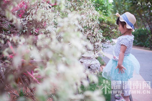 ���Ƕ��ͱ��Ƕ����Ѻ������ѵ�����֮��