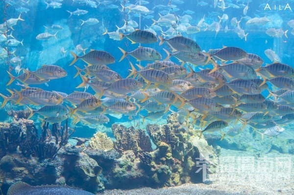 ���Ƕ��ͱ��Ƕ����Ѻ������ѵ�����֮��