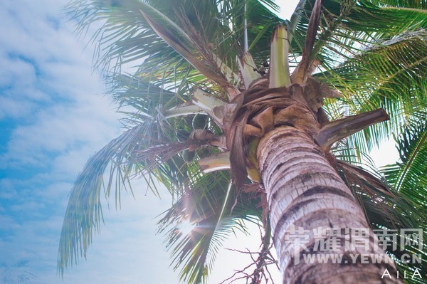 ���Ƕ��ͱ��Ƕ����Ѻ������ѵ�����֮��