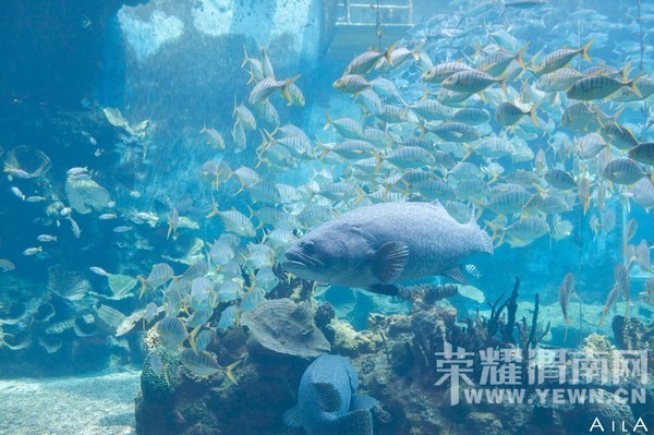 ���Ƕ��ͱ��Ƕ����Ѻ������ѵ�����֮��