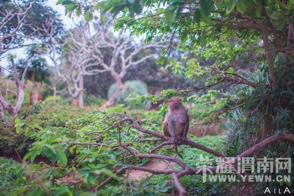 ���Ƕ��ͱ��Ƕ����Ѻ������ѵ�����֮��