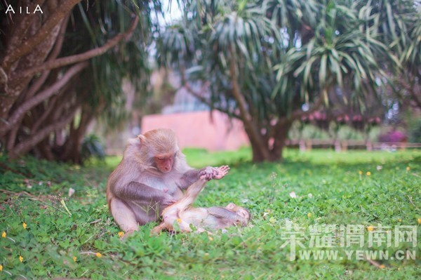 ���Ƕ��ͱ��Ƕ����Ѻ������ѵ�����֮��