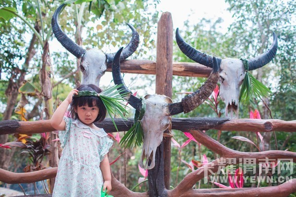 ���Ƕ��ͱ��Ƕ����Ѻ������ѵ�����֮��