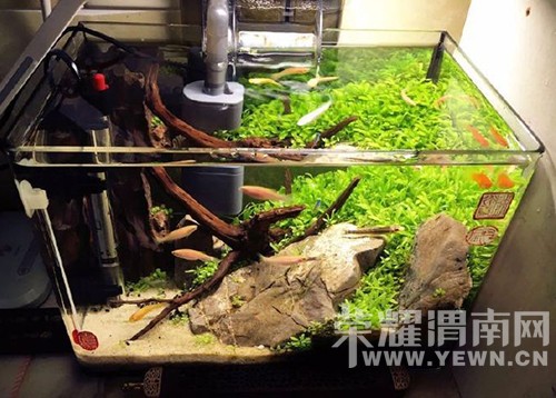 ���Ǵ�ѧ��������ţ����һ��������գ�world�磡