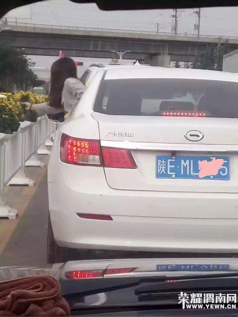 150006fp9gnegoen2p9rp0.jpg