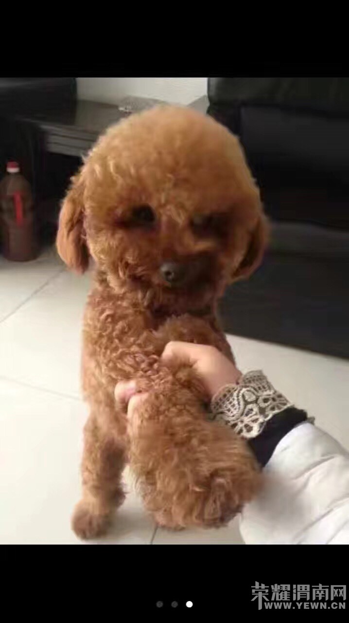 ǰ���챾�˲���������ʧ�������ǰ�æ����һ��