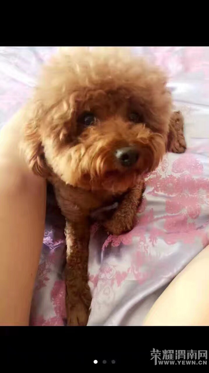 ǰ���챾�˲���������ʧ�������ǰ�æ����һ��