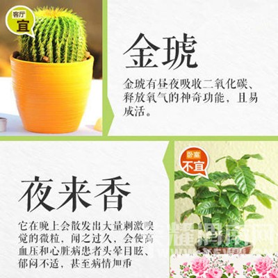 �����̻�ʱҪע���ˣ�����������Щֲ���ܷţ���Щֲ�ﲻ�ܷ�