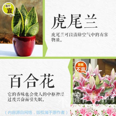 �����̻�ʱҪע���ˣ�����������Щֲ���ܷţ���Щֲ�ﲻ�ܷ�