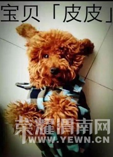 ��С������