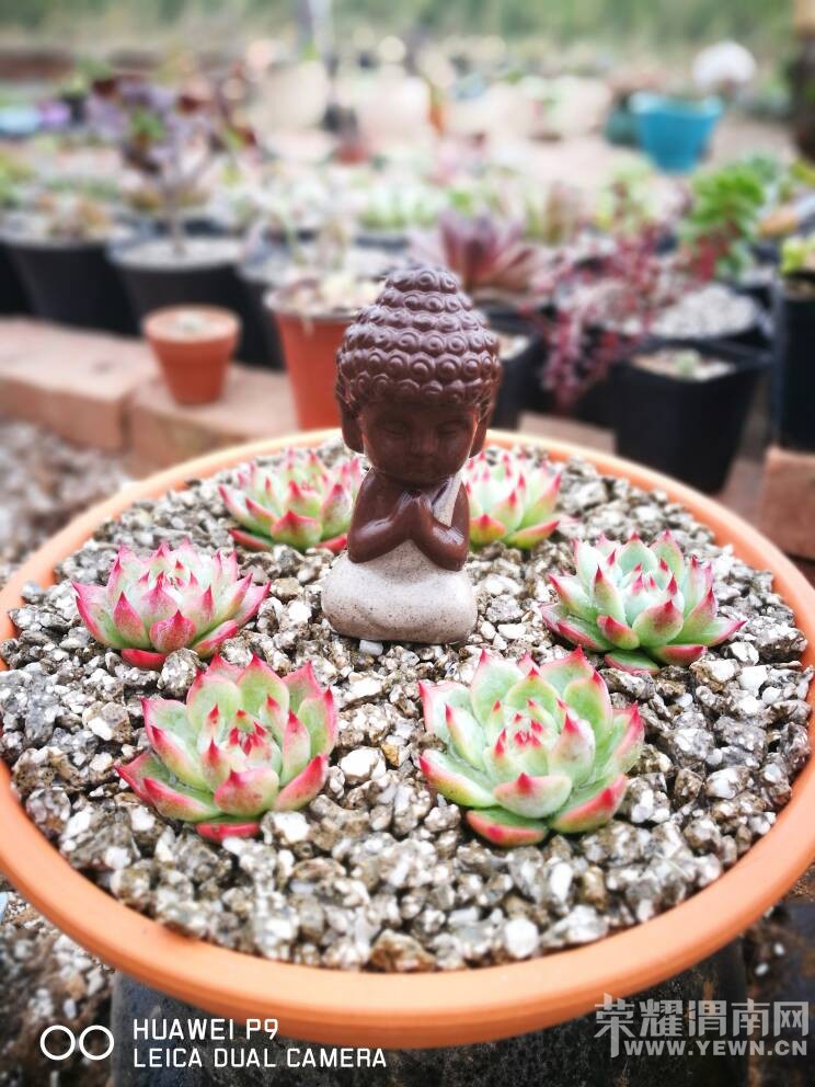  ��֪�����Ѿ�������һ����ˣ��������ҵ���Ʒ