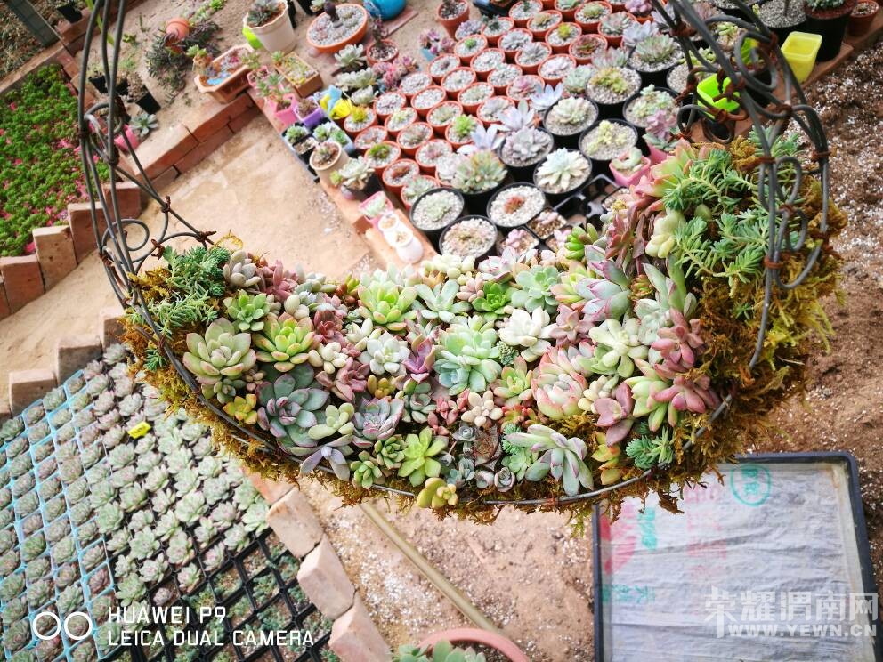  ��֪�����Ѿ�������һ����ˣ��������ҵ���Ʒ