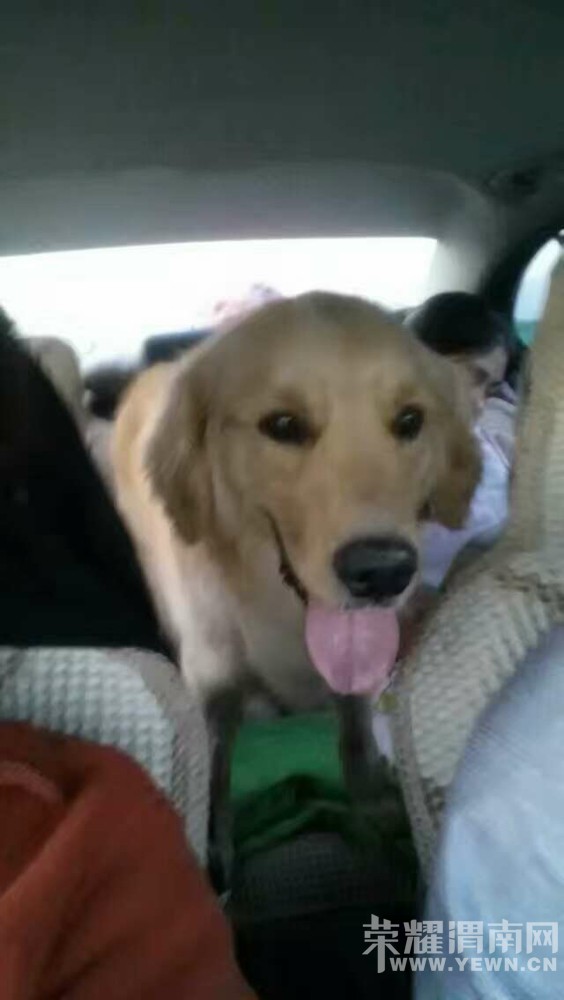 Ѱ�ҹ�����10��20�վŵ�������·��ʧ����ת�����ע����л��ң�