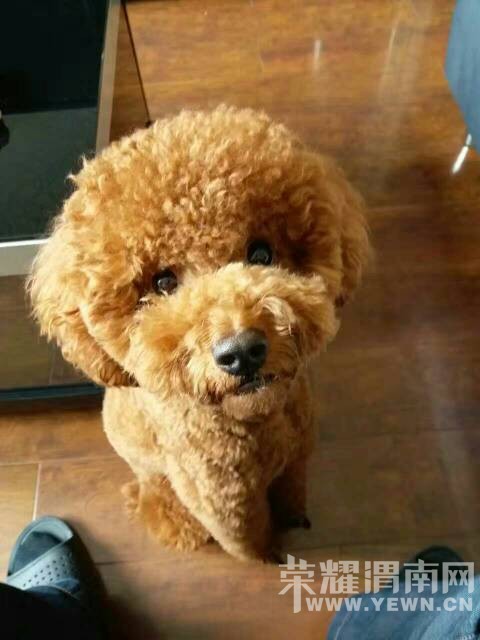 �Ҽ�̩�϶��ˡ��������Ϣ�����