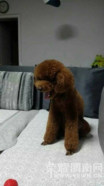 �Ҽ�̩�϶��ˡ��������Ϣ�����