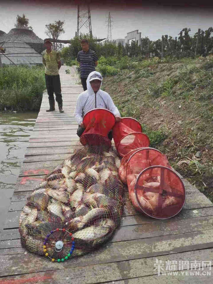 ���𼫹��money! 