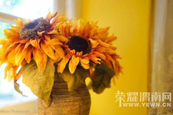 �������㿴����һ���ĺ�