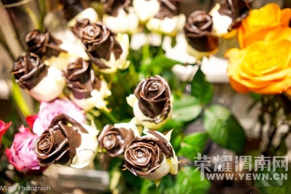 �������㿴����һ���ĺ�