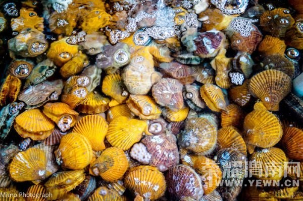 �������㿴����һ���ĺ�