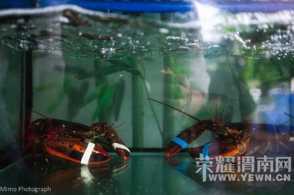 �������㿴����һ���ĺ�