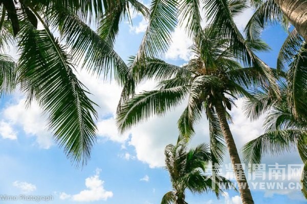 �������㿴����һ���ĺ�