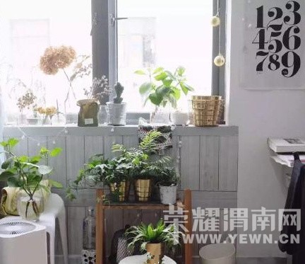 �����VS�����㣬�㻹��ס"����"���˼������Ѿ�������ֻ����1316.9Ԫ��