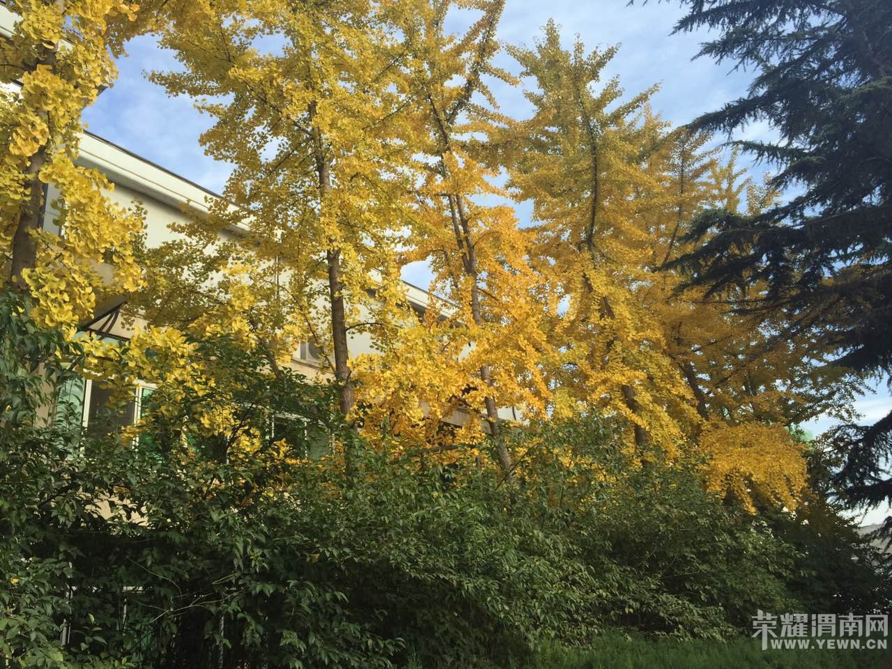 ����·ÿ�����ڶ��в�һ������