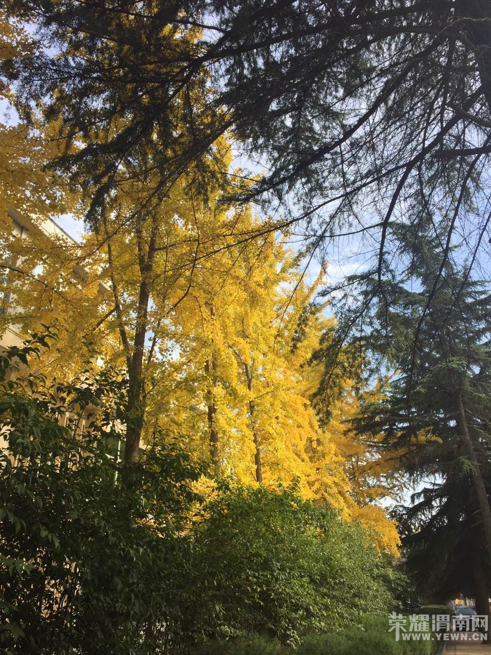 ����·ÿ�����ڶ��в�һ������