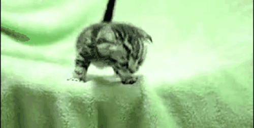 ��è������ô�ã�è������ԣ��㶮���٣�