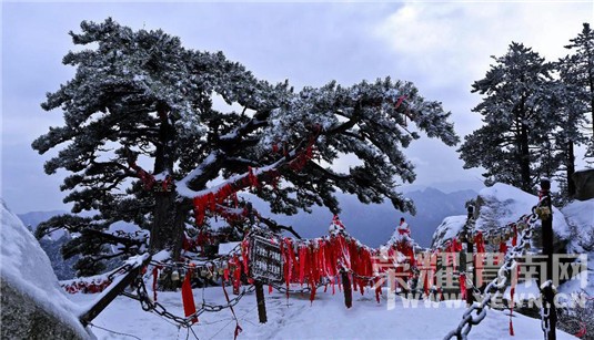 ��ɽ��ѩ�ˣ���ֱ�����ˣ�����