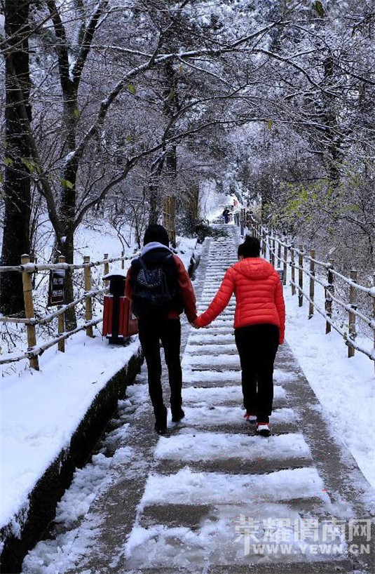 ��ɽ��ѩ�ˣ���ֱ�����ˣ�����