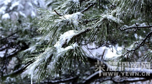 ��ɽ��ѩ�ˣ���ֱ�����ˣ�����